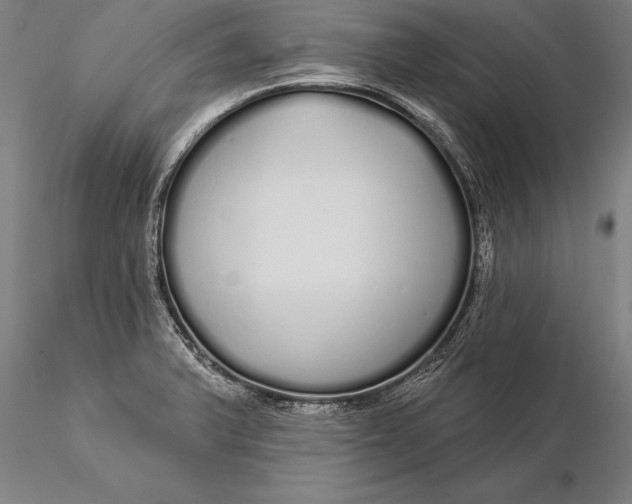 X0000116041375200912111429