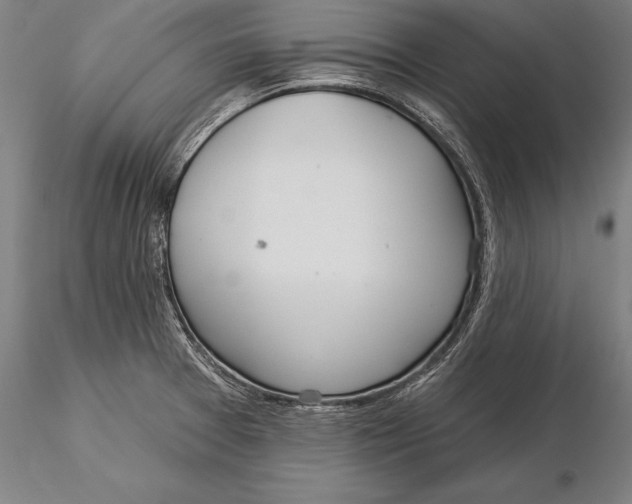 X0000116041377200912111429