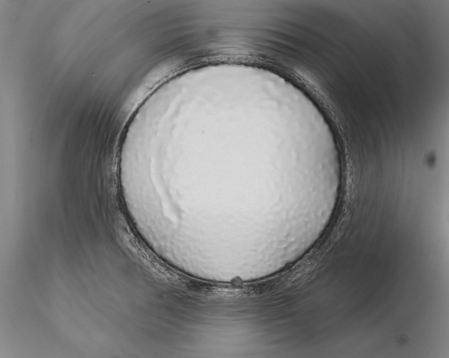 X0000116041378200912111429