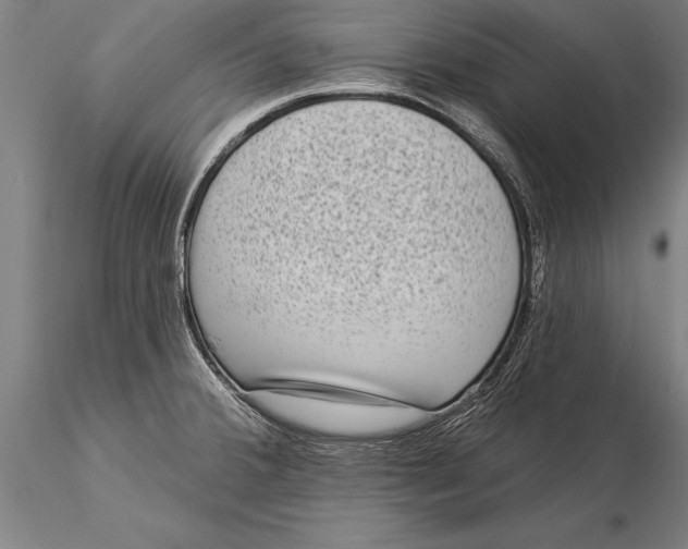 X0000116041380200912111429