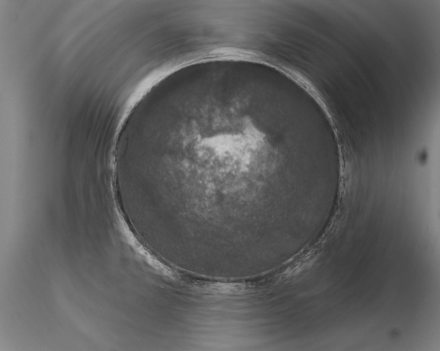 X0000116041381200912111429