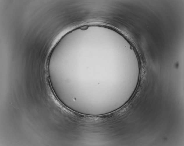 X0000116041382200912111429