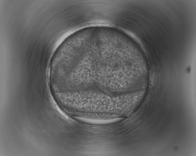 X0000116041383200912111429