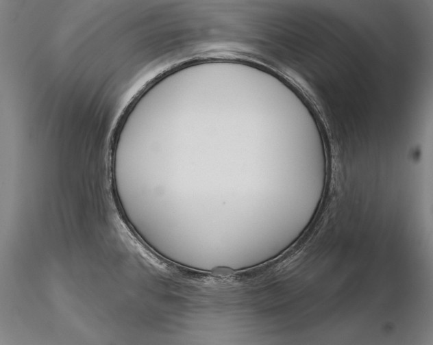 X0000116041384200912111429