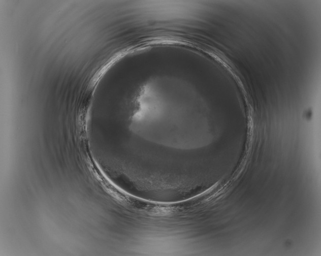 X0000116041385200912111429