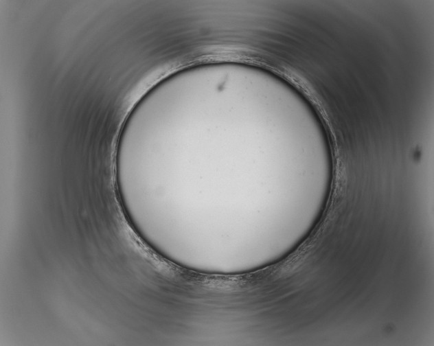 X0000116041386200912111429