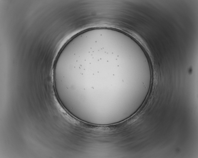 X0000116041388200912111429