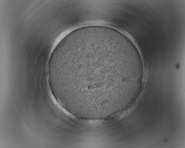 X0000116041389200912111429