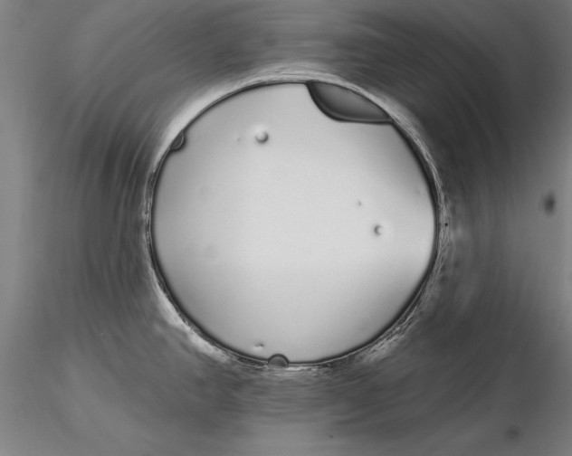 X0000116041390200912111429