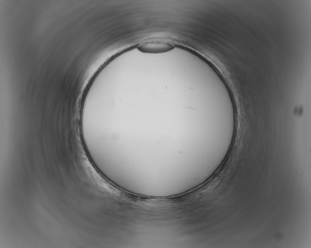 X0000116041392200912111429