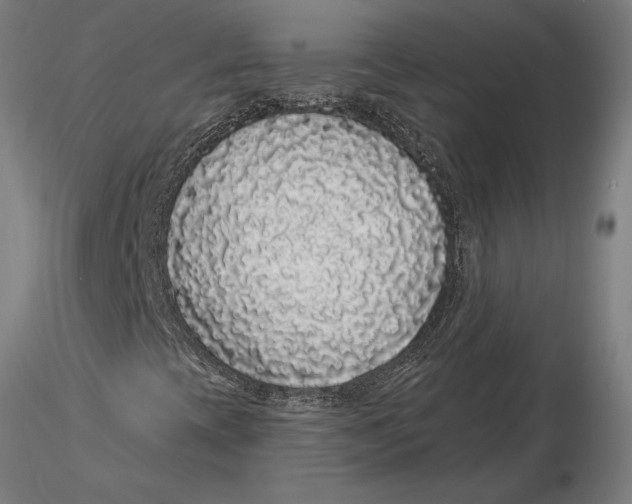 X0000116041393200912111428