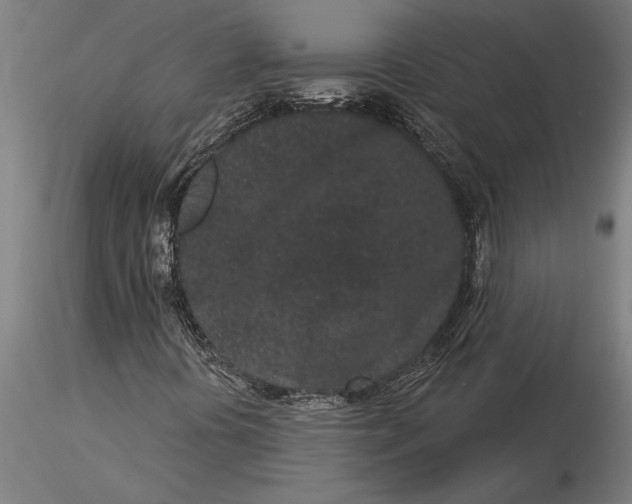 X0000116041394200912111428