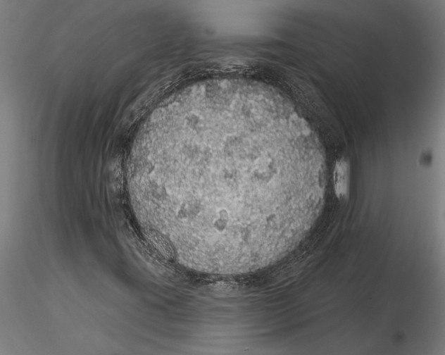 X0000116041395200912111428