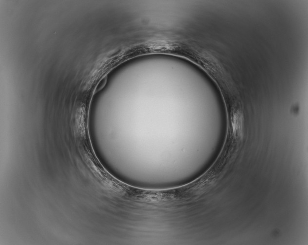 X0000116041396200912111428