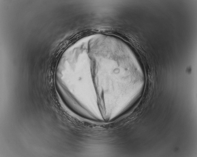 X0000116041398200912111428