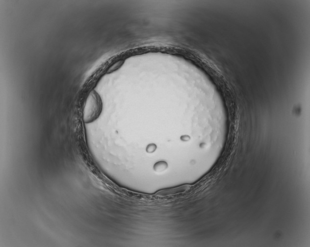 X0000116041400200912111428