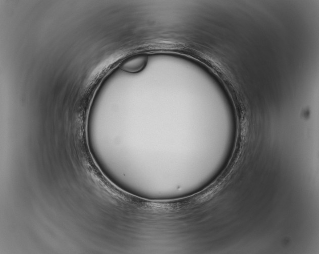 X0000116041402200912111428