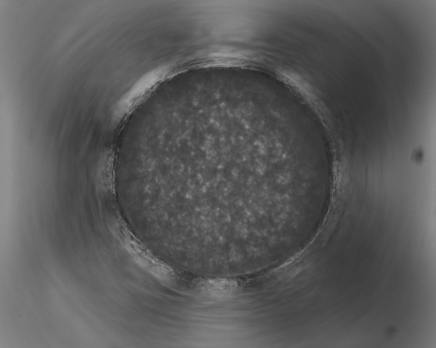 X0000116041403200912111428