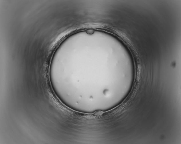 X0000116041404200912111428