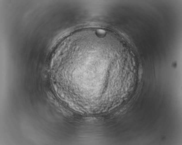 X0000116041405200912111428