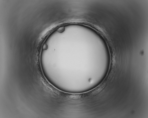 X0000116041406200912111428