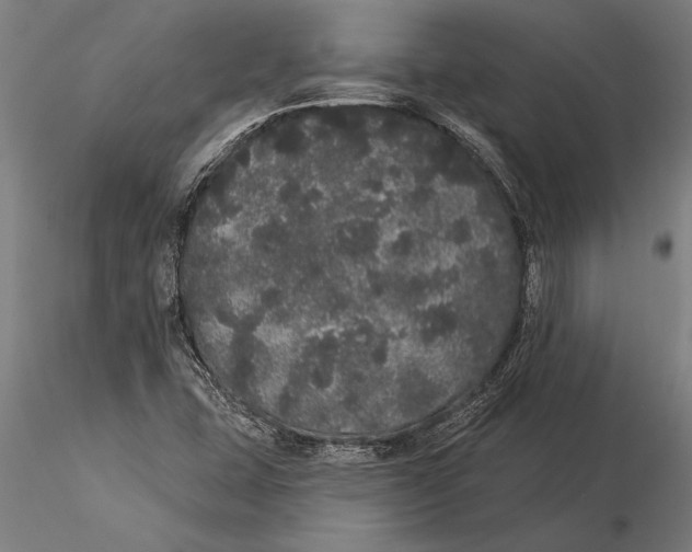 X0000116041407200912111428