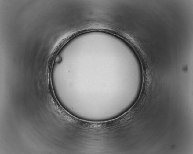 X0000116041408200912111428