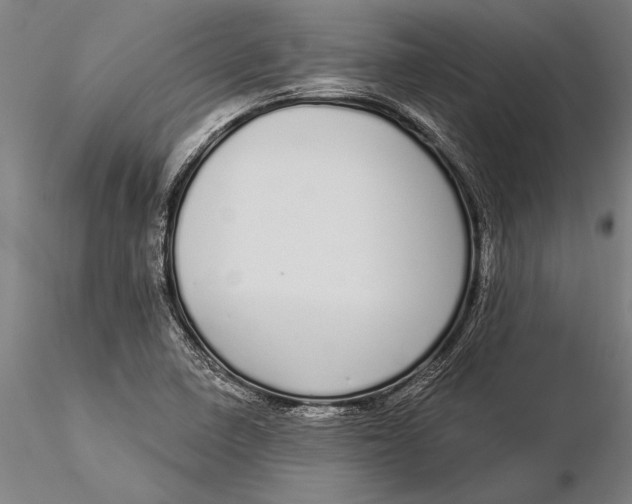 X0000116041410200912111428