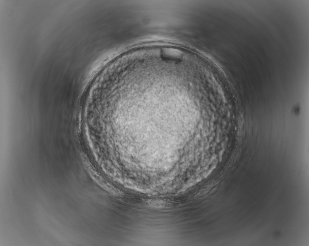 X0000116041413200912111429