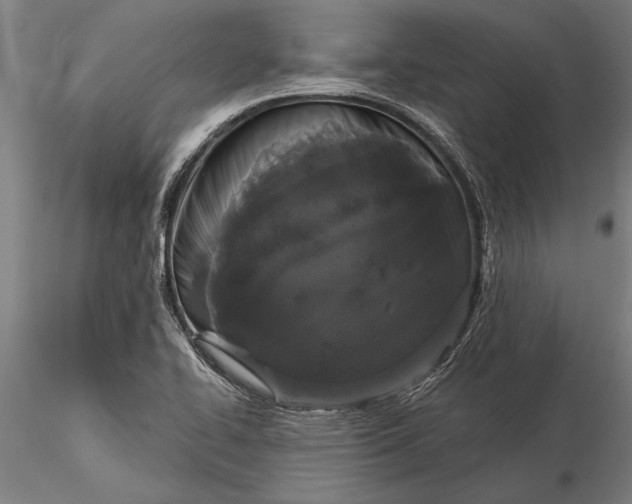 X0000116041414200912111429