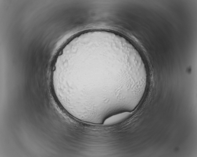 X0000116041416200912111429