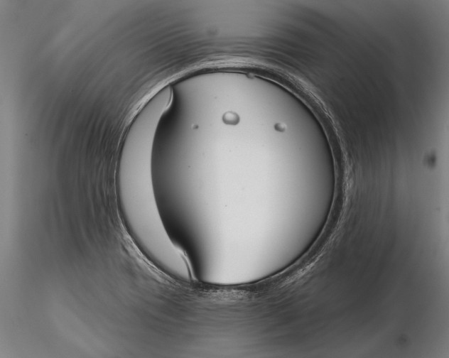 X0000116041417200912111429