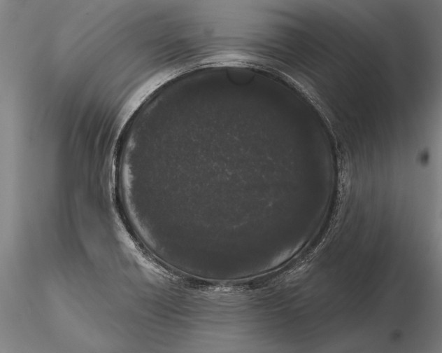 X0000116041418200912111429