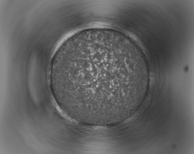 X0000116041421200912111429