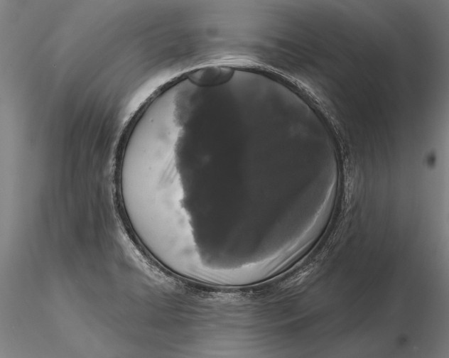 X0000116041422200912111429