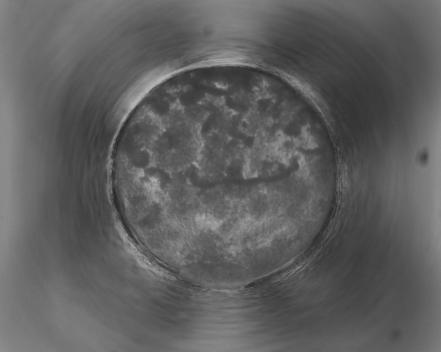 X0000116041423200912111429