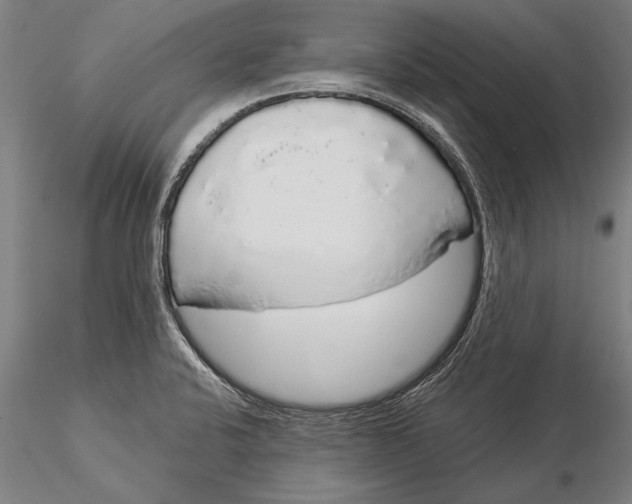 X0000116041424200912111429