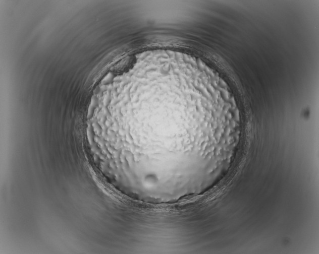 X0000116041425200912111429