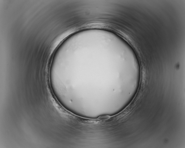 X0000116041426200912111429