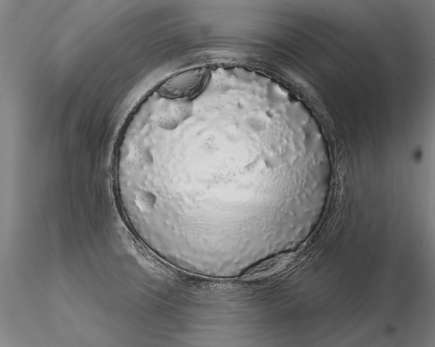 X0000116041427200912111429