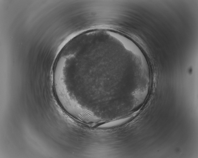 X0000116041428200912111429