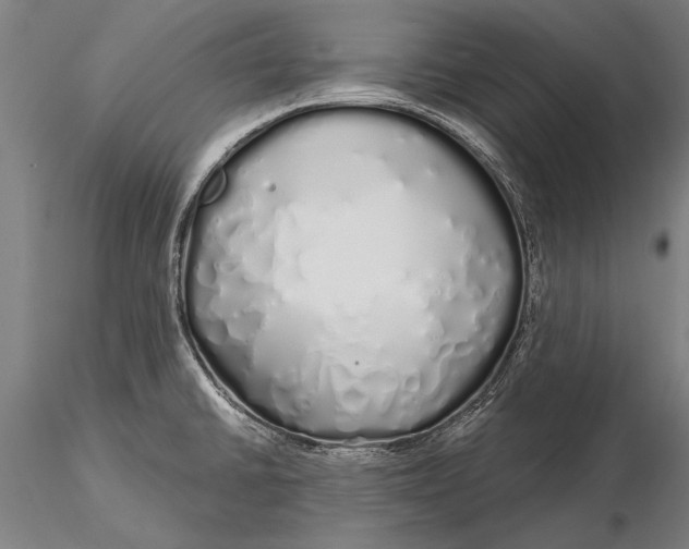 X0000116041430200912111429