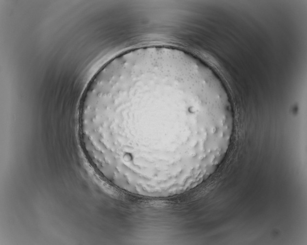 X0000116041431200912111429