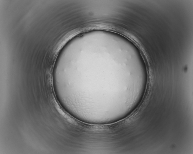 X0000116041433200912111429