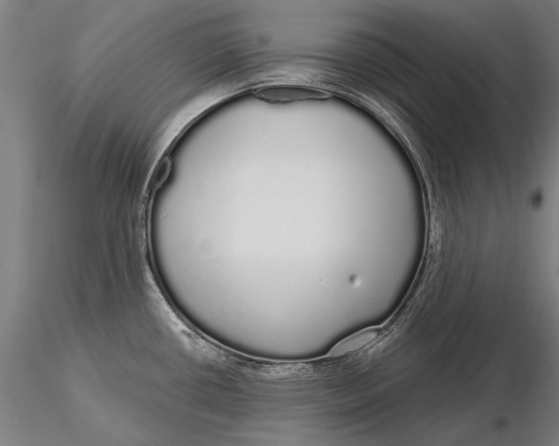 X0000116041434200912111429