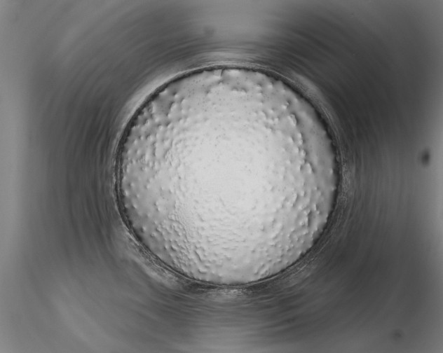 X0000116041435200912111429