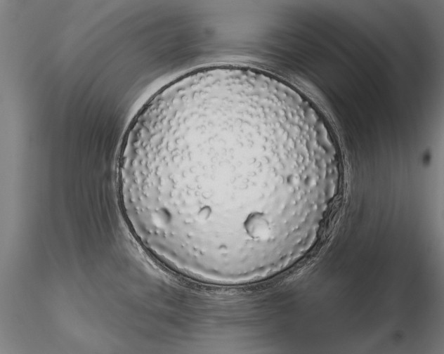 X0000116041436200912111429