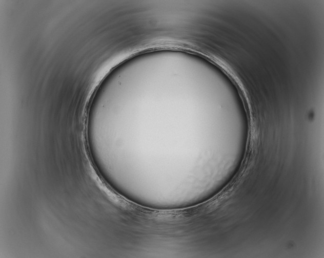 X0000116041437200912111429