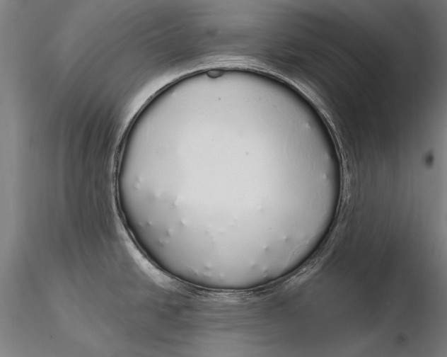 X0000116041438200912111429