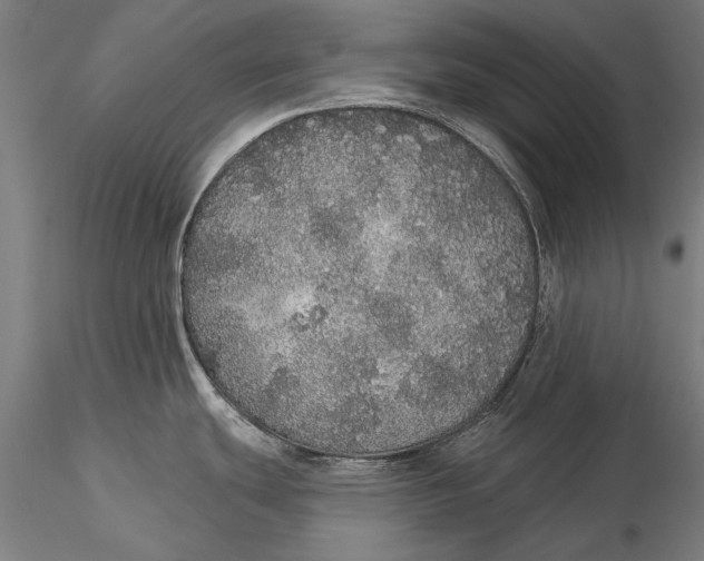 X0000116041439200912111429